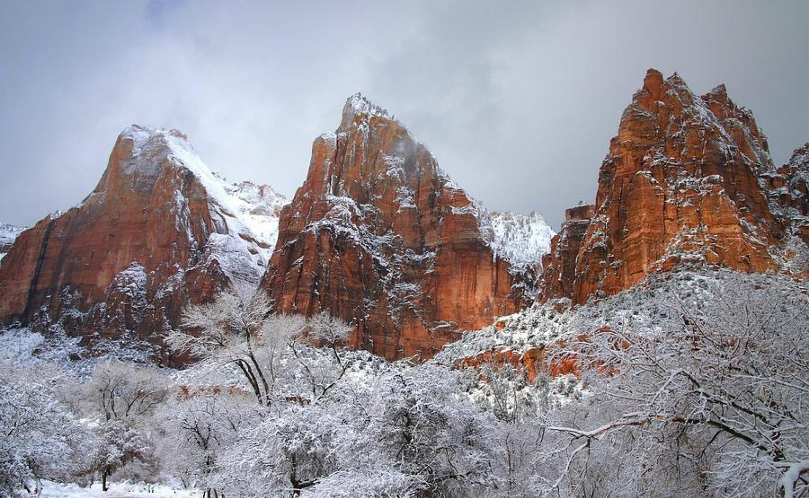 Zion National Park red sandstone cliffs covered in snow in winter